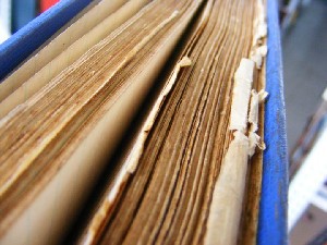 biblioteca 143 copy.jpg